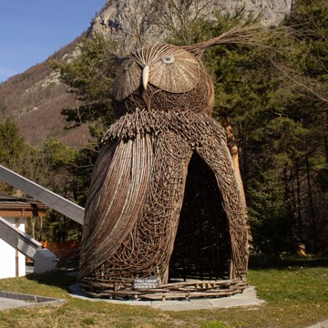 2023022112 PM1953 Hibou Caré